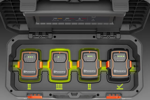 Miniatuur 2